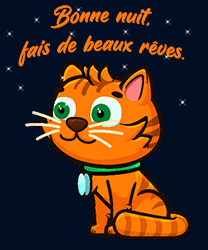 bonne nuit chat